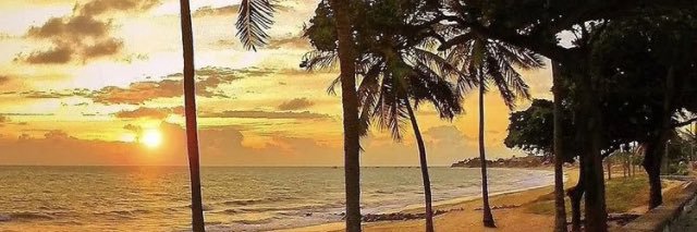 ases_ochos's profile banner image