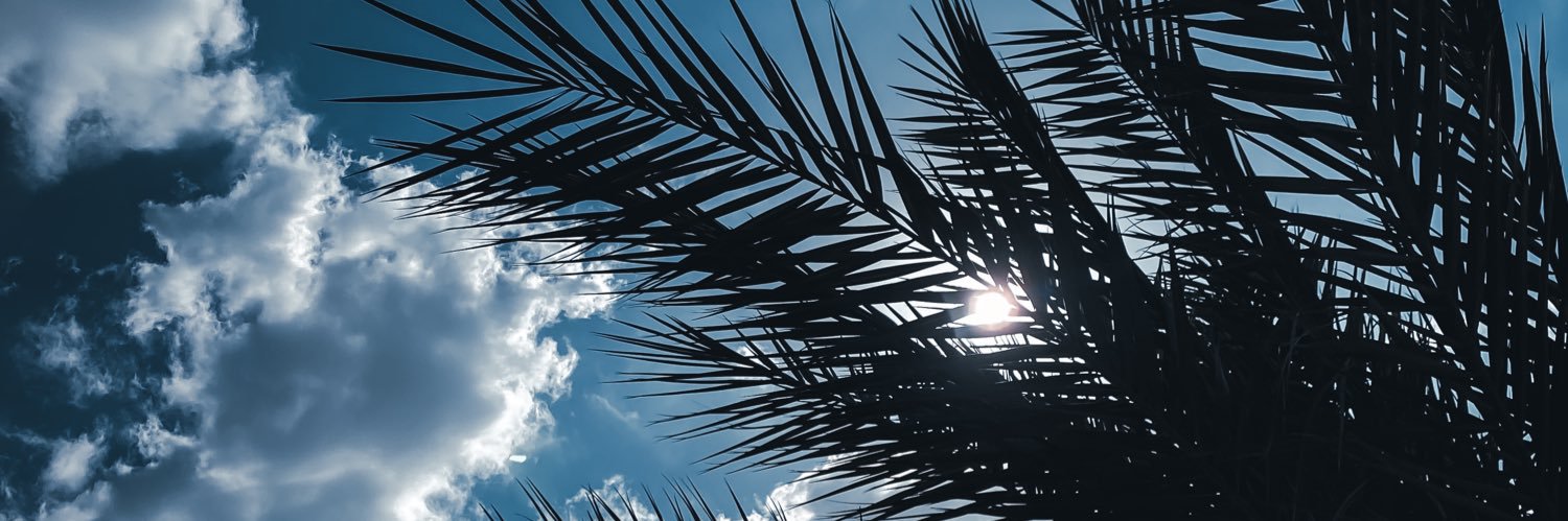 alshujibi's profile banner image