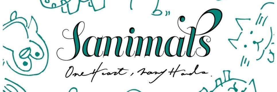 チゲ宮🥘NEWS🦦🍛 banner