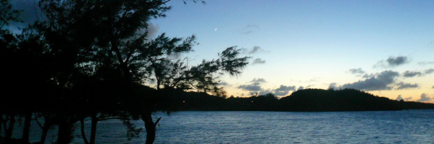 signofnight's profile banner image