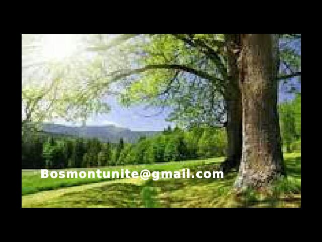 BOSMONT COMMUNITY banner