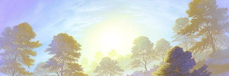 Kayla X 🌷🌷 banner