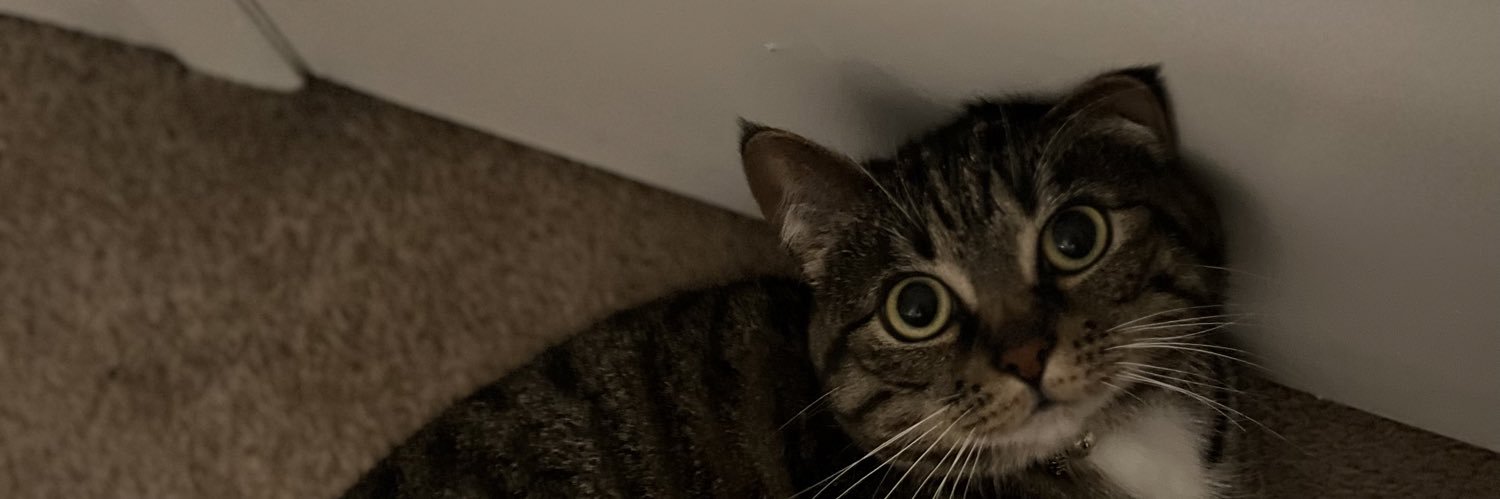 SweaterYellow's profile banner image