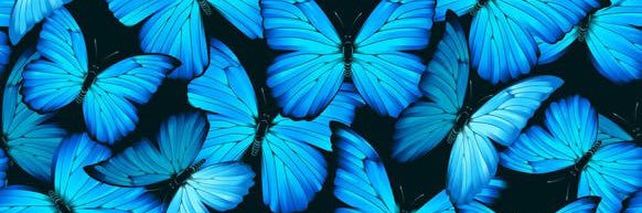 Dave Snider is not here🦋 banner