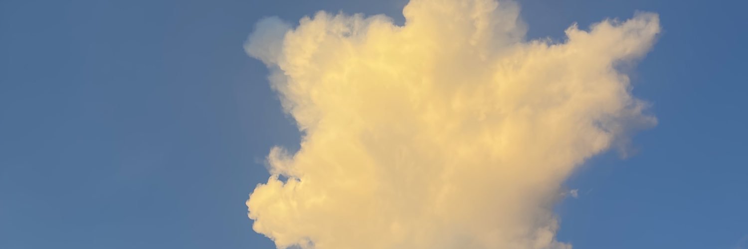 throntouch's profile banner image