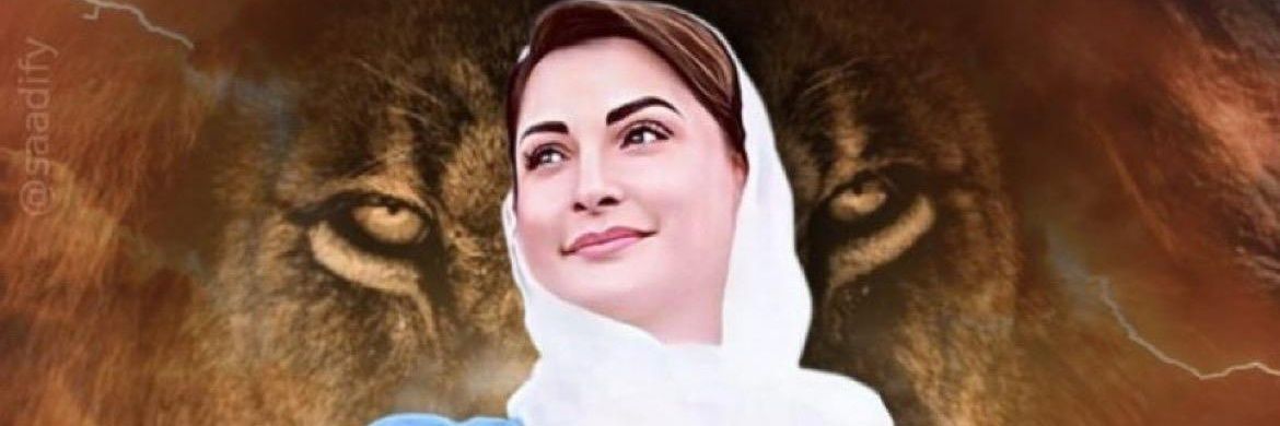 F J Sajdi (پرانا پاکستانی) banner