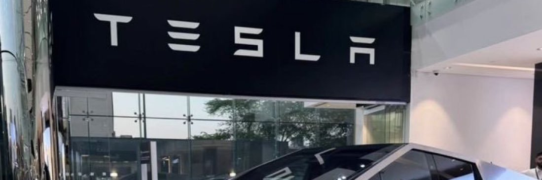 Elon banner