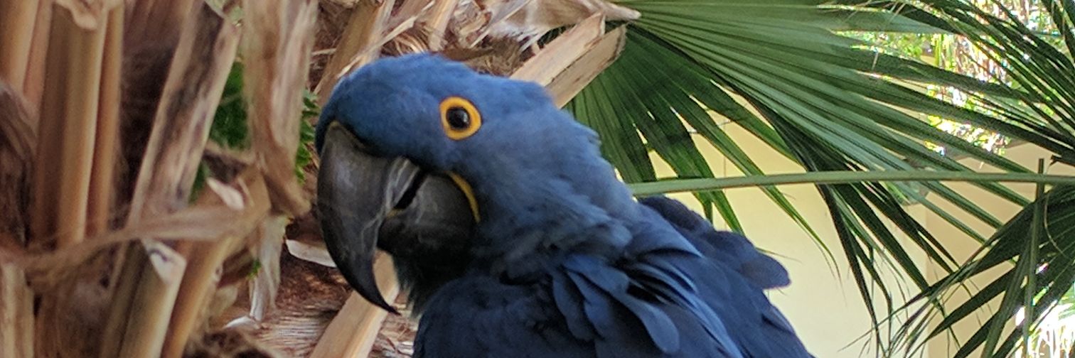 margaretd's profile banner image