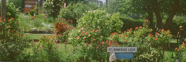 yilinsusue Profile Banner