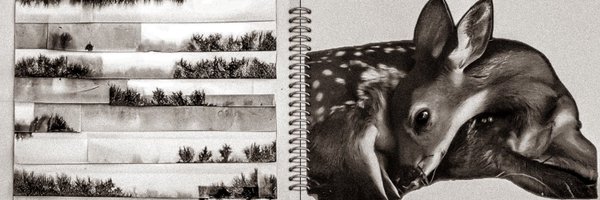 fuisumerc Profile Banner