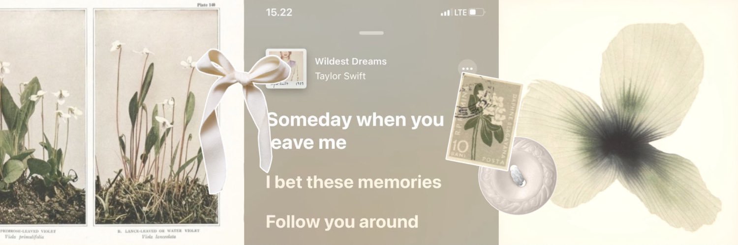 tam ★ lvs riri banner