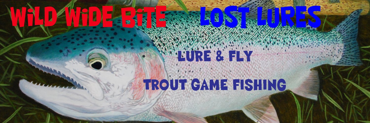 lostlures's profile banner image