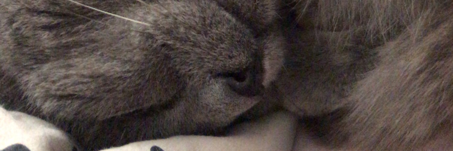 babosofshit's profile banner image