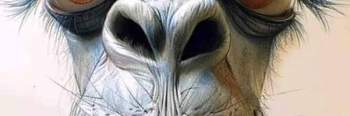 TenesoyaV's profile banner image
