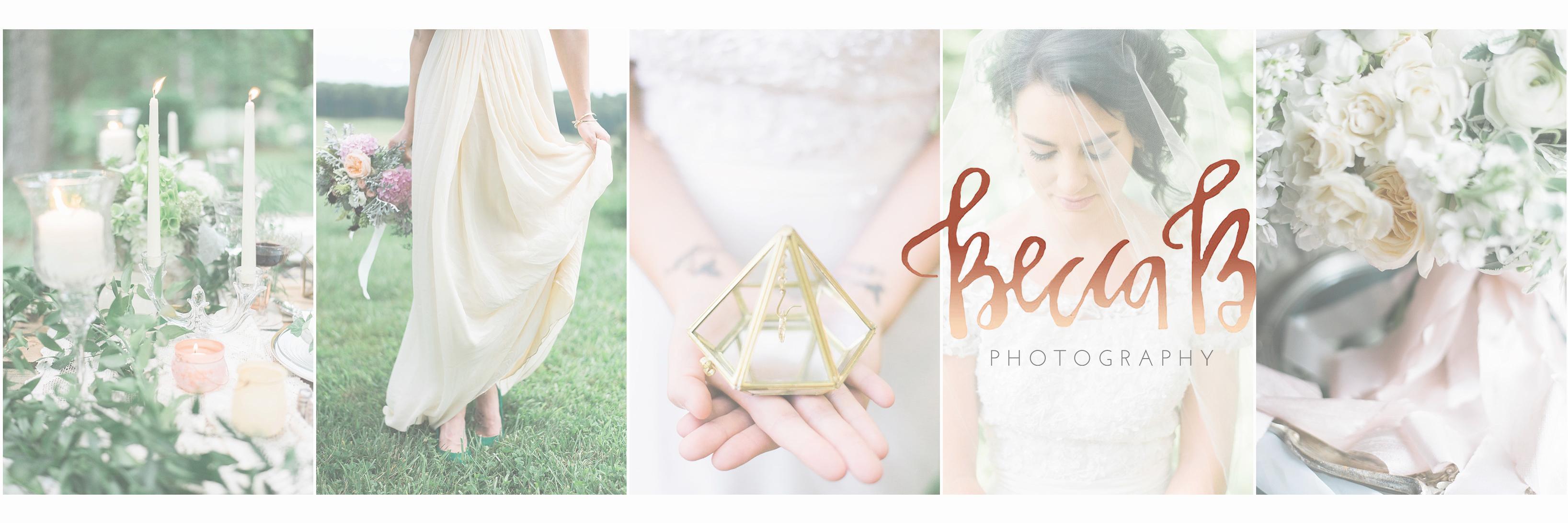 BeccaBPhotoVA's profile banner image