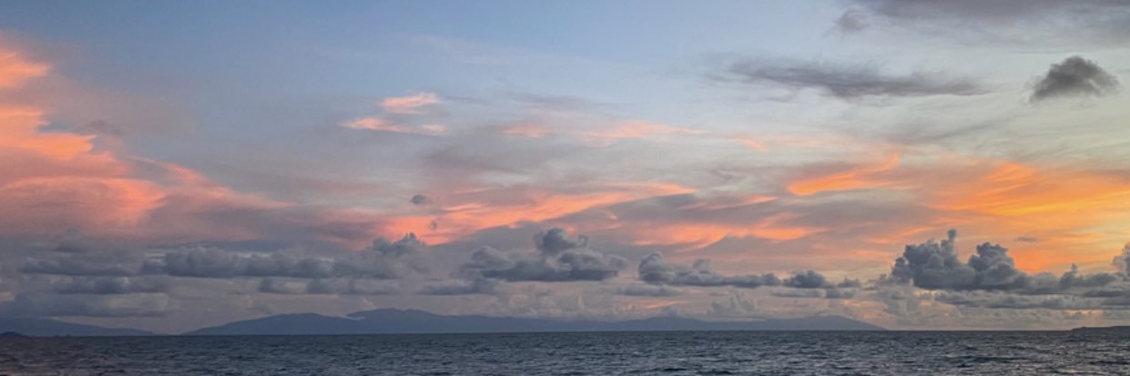 Jamenea Ferrer banner