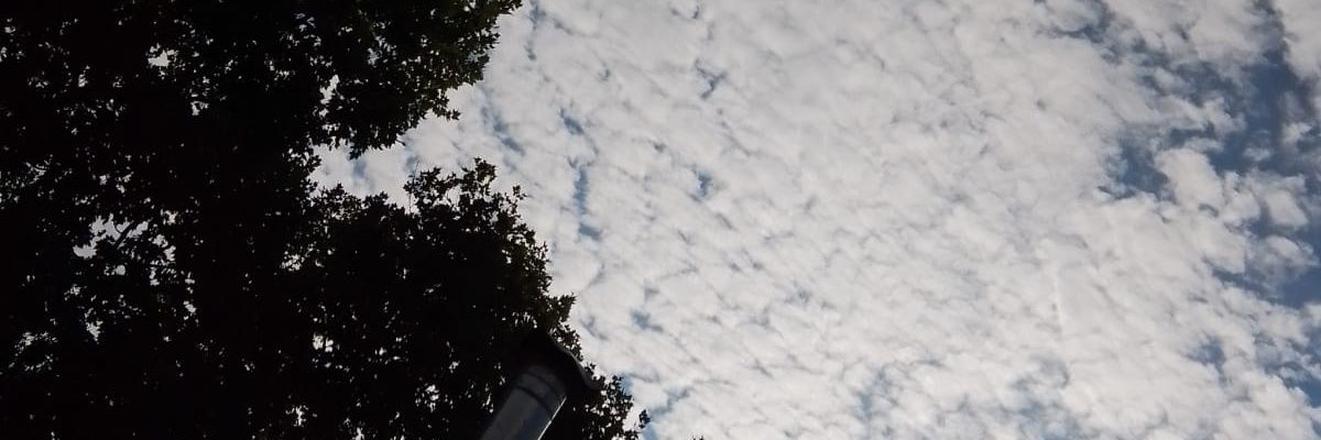 Dac_alejndra40's profile banner image