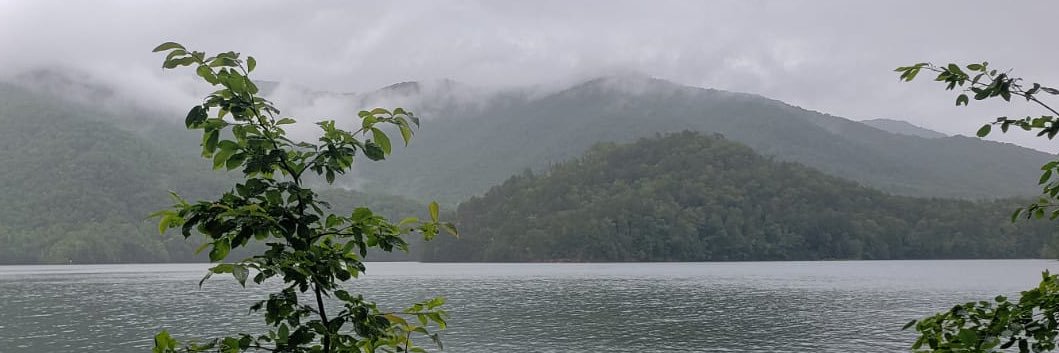 Katja Kochvar banner