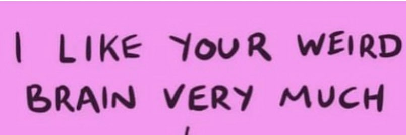 STEPHY banner
