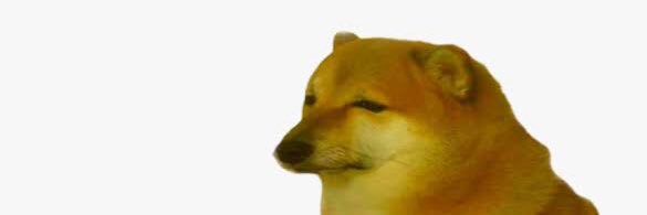 Doggo101 banner