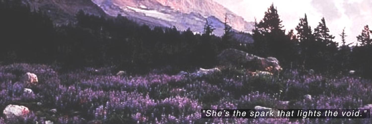 aerihcans's profile banner image