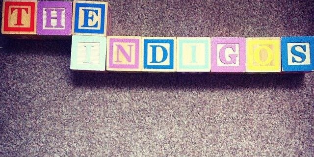 indigos_the's profile banner image