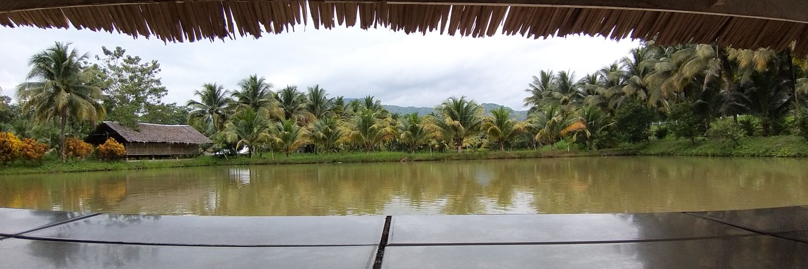 rikkidavao's profile banner image