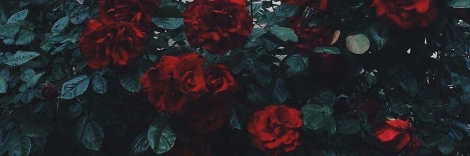Robyn_Oma's profile banner image