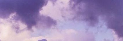 ❁ banner
