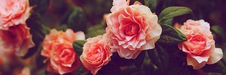 Julia Gray Atkinson banner