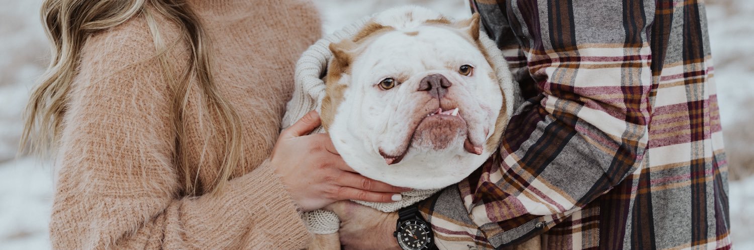 💀 RektLang banner