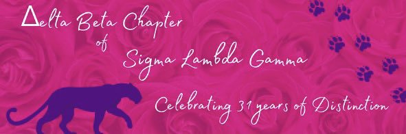 SLGDB's profile banner image
