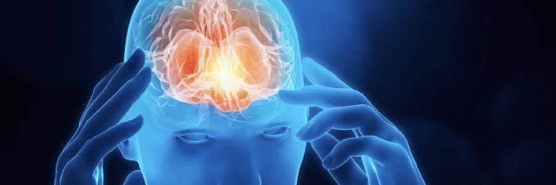 Eleanor Moses banner