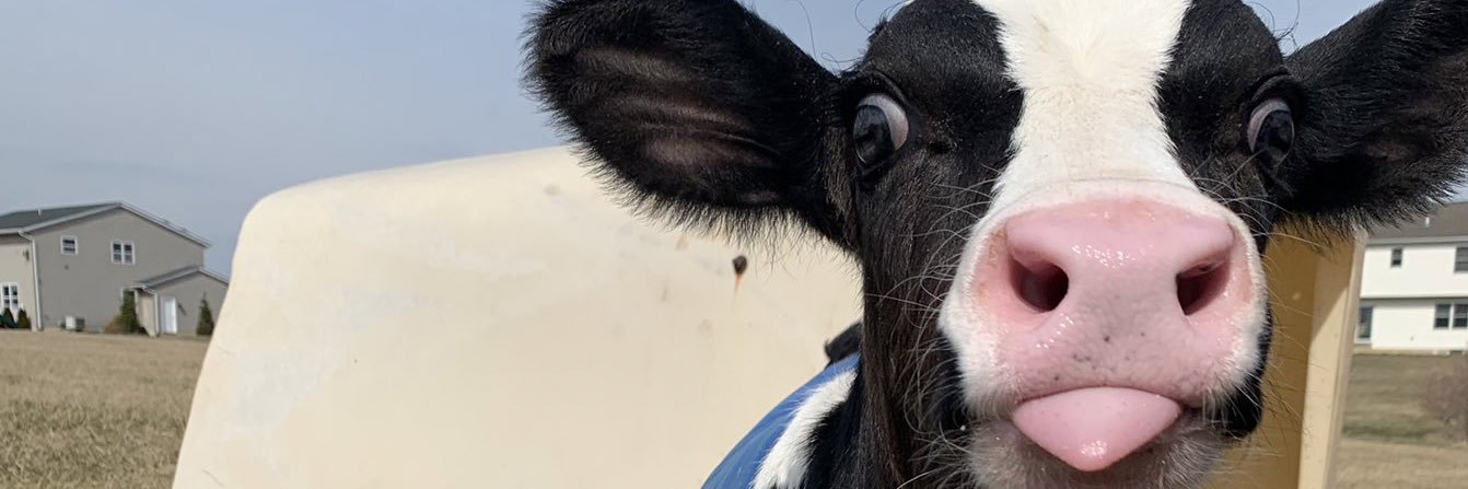 stephaniemorter's profile banner image