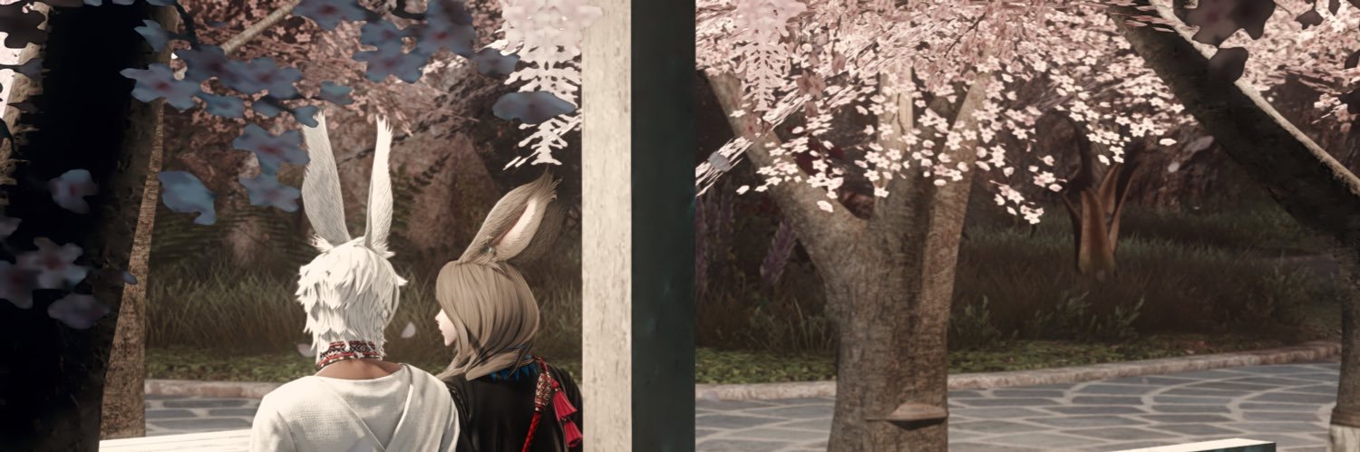김12's banner