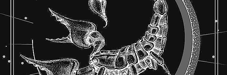 hide1113's profile banner image
