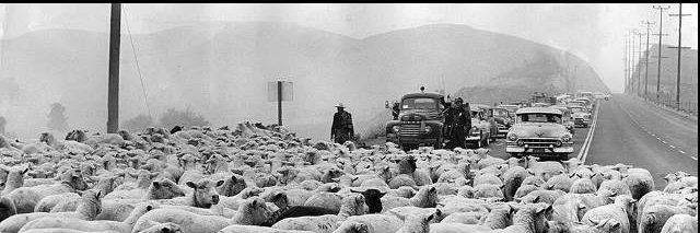 Michael Ginzo banner