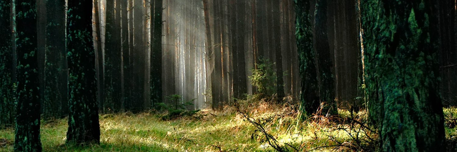 brosenthal67's profile banner image