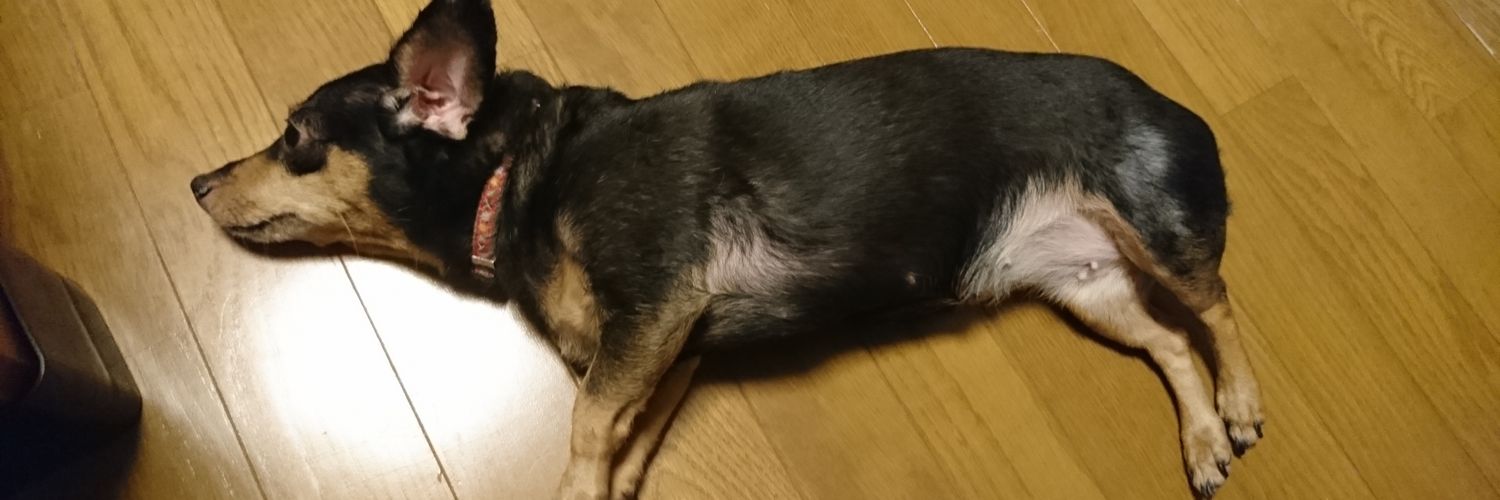 Dal_nico's profile banner image