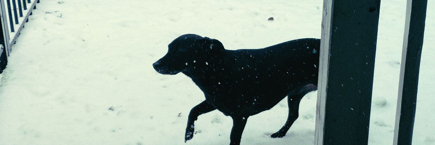 ｡⋆｡˚Devorah˚｡⋆｡ banner