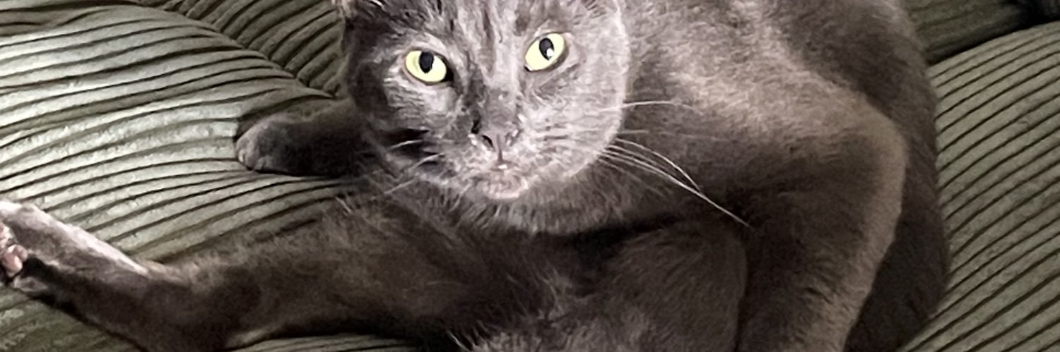 leathergutss's profile banner image