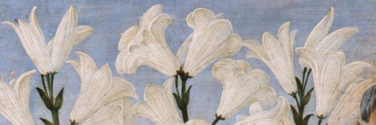 ClaraGonzalezL's profile banner image