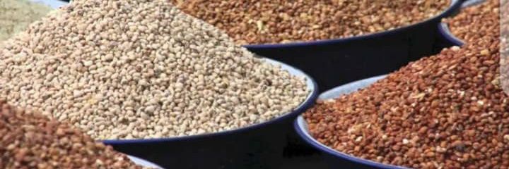 Diplomatic Alicho banner