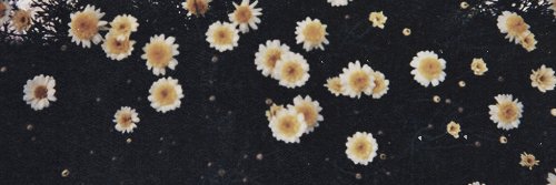 jundc16's profile banner image