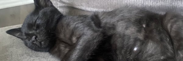 NotLarrayy_ Profile Banner