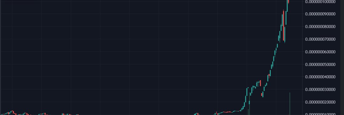 balduino 🐉 $MON banner