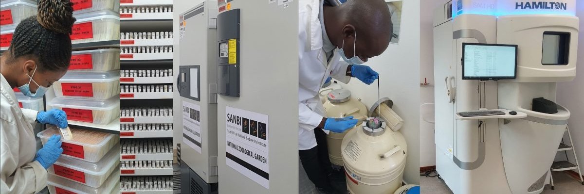 Biodiversity Biobanks South Africa banner