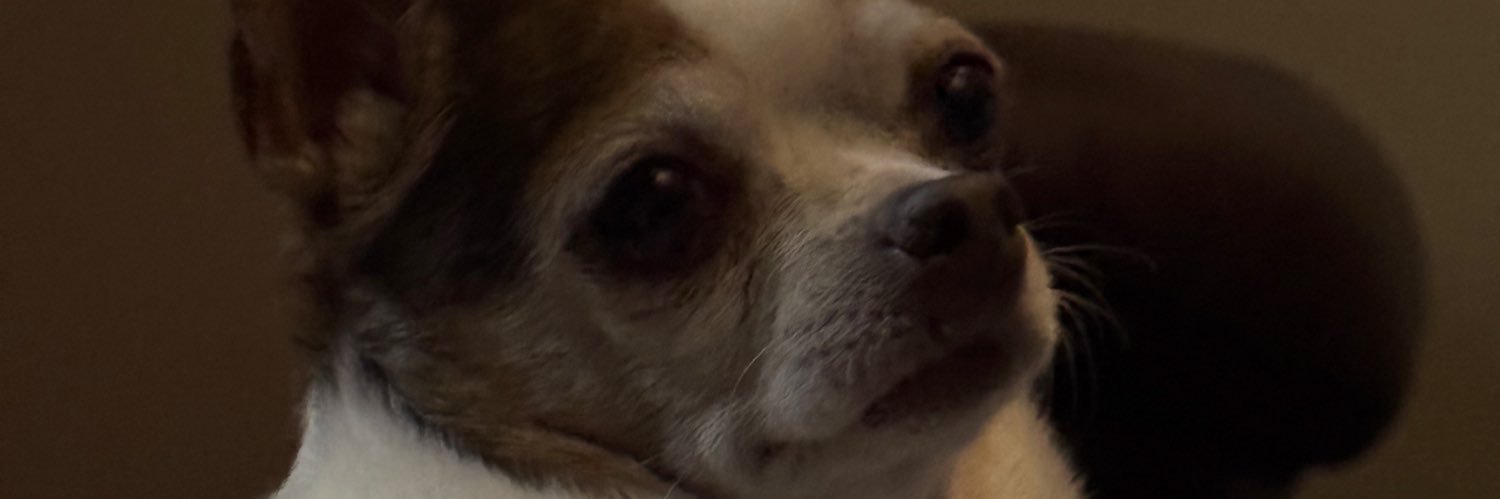 gerardfchavez's profile banner image