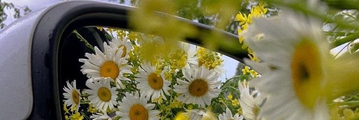 lanasy_walha's profile banner image