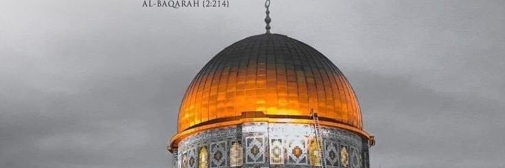 مداد الفكر banner